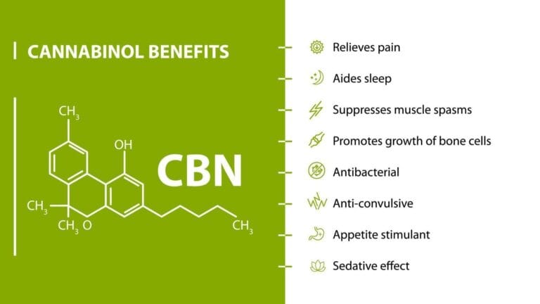 CBN Facts
