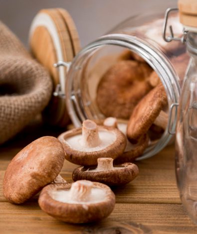 reishi mushroom for sleep