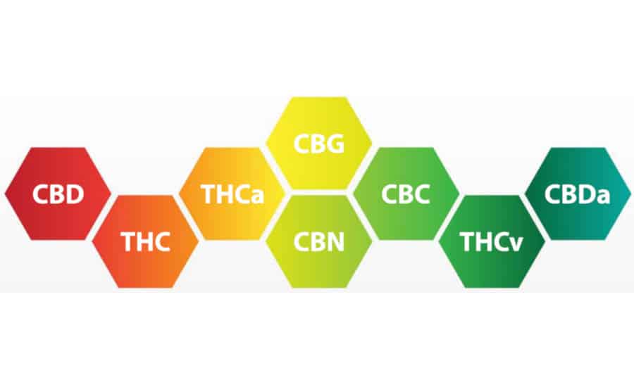 CBD and CBN offer a unique set of benefits without the mind-altering properties.