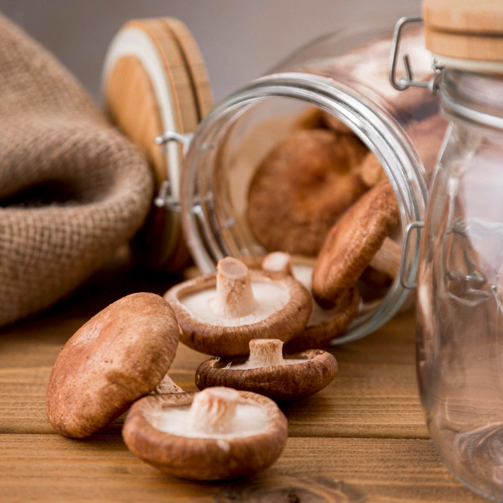 reishi mushroom for sleep