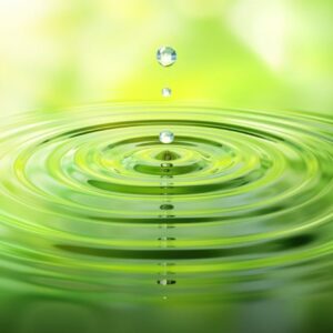 What is Broad Spectrum CBD Oil? Benefits, Uses, and Differences Explained
