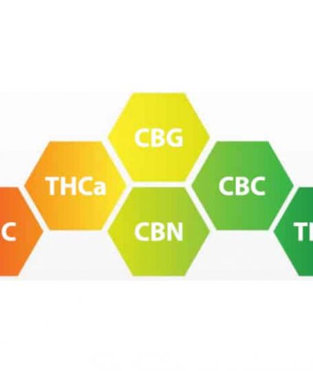 CBD and CBN offer a unique set of benefits without the mind-altering properties.