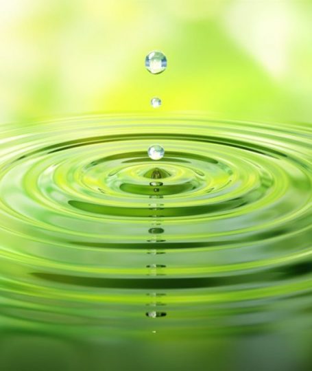 Premium CBD Oil