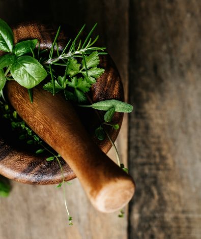 CBD and medicinal mushrooms