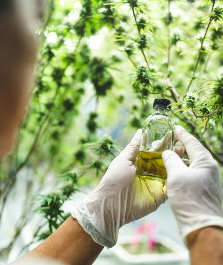 Where Should You Use a CBD Pain Relief Stick