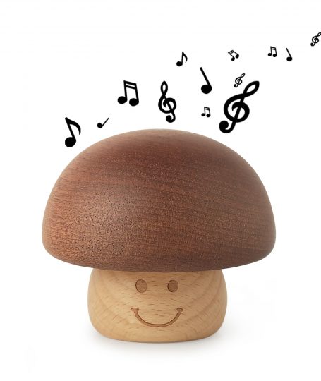 Music and Mushrooms